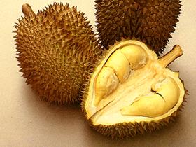  Durian 