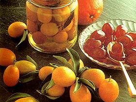  Kumquat 